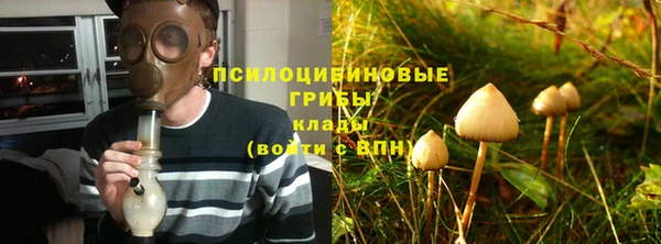 стафф Алзамай