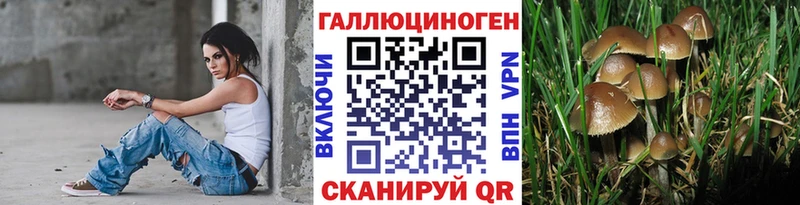 mega ссылка Грязовец Псилоцибиновые грибы Magic Shrooms